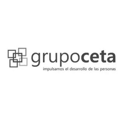 grupo seta